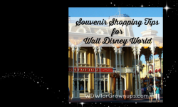 Souvenir Shopping Tips for Walt Disney World