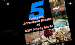 5 Fantastic Afternoon Breaks At Walt Disney World