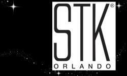 STK Opening This Year at The Landing in Disney Springs