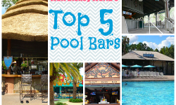 Top 5 Pool Bars At Walt Disney World