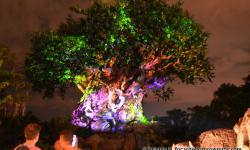 At Least 4 Reasons Disney’s Animal Kingdom Is Better Than Ever 