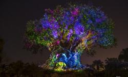 Disney’s Animal Kingdom Becomes a Nighttime Destination Starting May 27