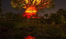 The Top 5 Things at Walt Disney World this Summer
