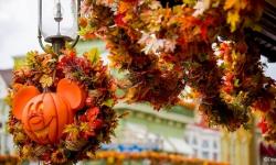 The Best Reasons to Visit Walt Disney World Resort this Fall