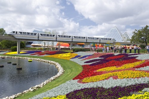 Dazzeling Flower Beds