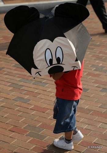 Rainy Days Are Fun at Walt Disney World
