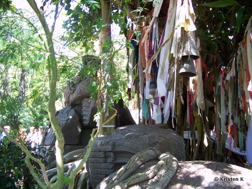 Offerings in the Trees On the Way To the Mountain