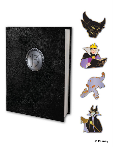 One of the 13 Reflections Pin Sets
