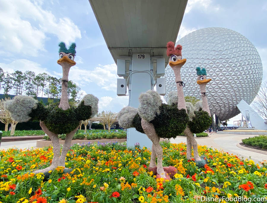 Fantasia Dancing Ostriches