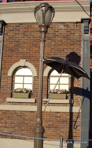 Do You Enjoy Singing in the Rain?