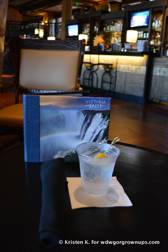 Quench Your Thirst At Victoria Falls