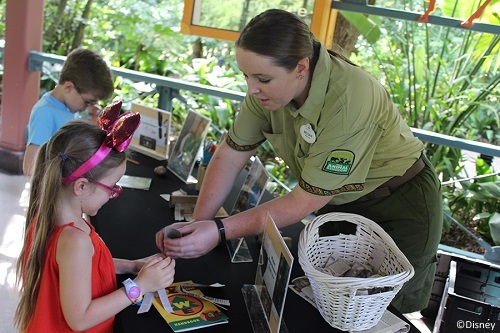 Create enrichment items at Disney's Animal Kingdom