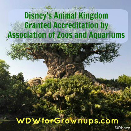 Congratulations to Disney's Animal Kingdom Lodge and Disney's Animal Kingdom