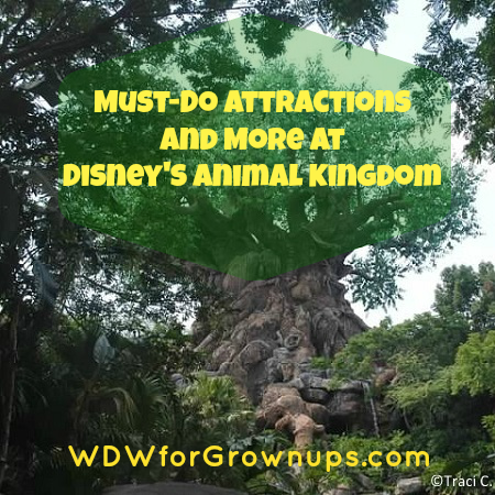 There's so much to love about Disney's Animal Kingdom