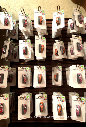 Annual Passholder MagicBands