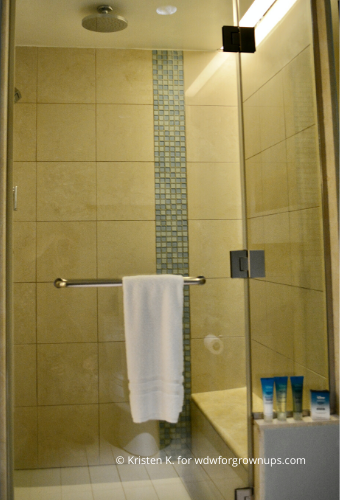 Master Bath Shower