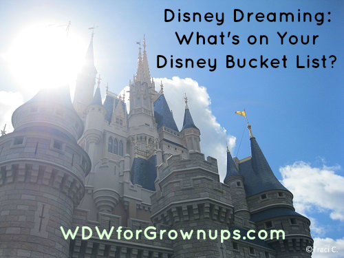 What is on your Disney Bucket List?