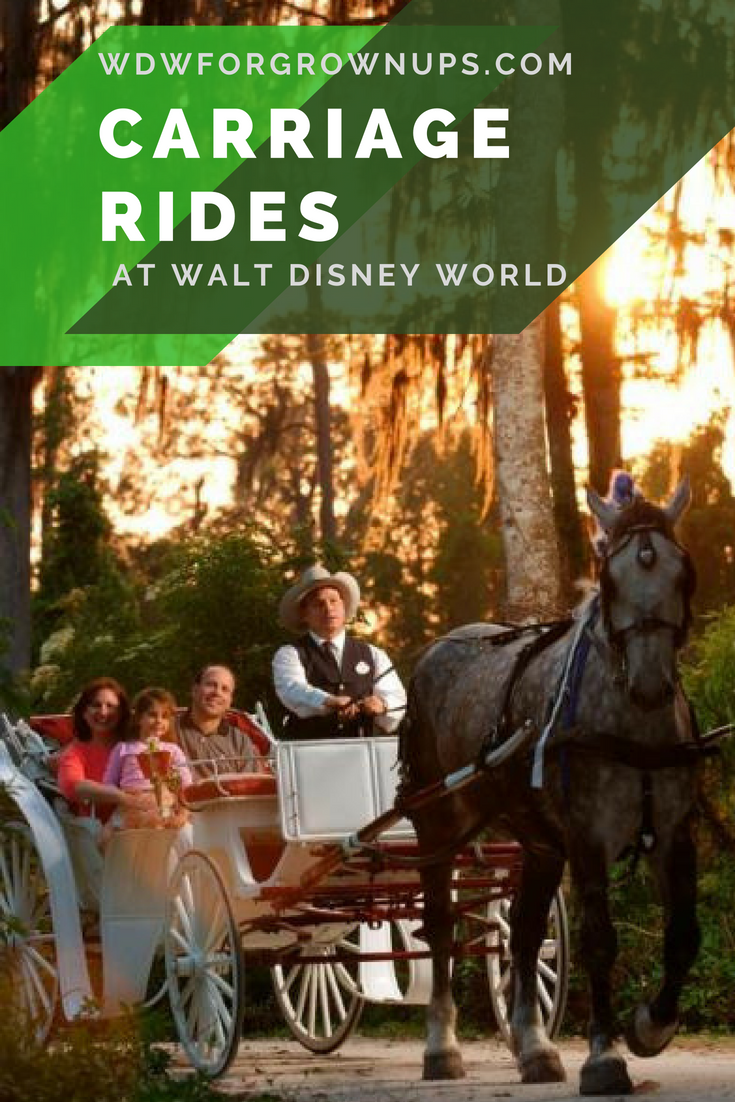 Carriage Rides At Walt Disney World