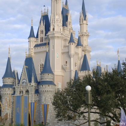 The Magic Kingdom is the top theme park in the world