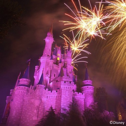 Walt Disney World Resort named 'best theme park'