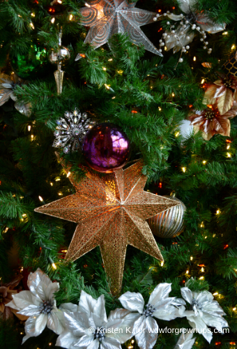 Silvery Poinsettia, Snowflakes and Stars