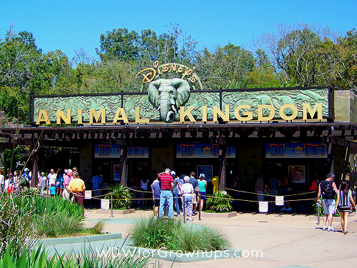 Disney's Animal Kingdom Combines Fun and Conservation