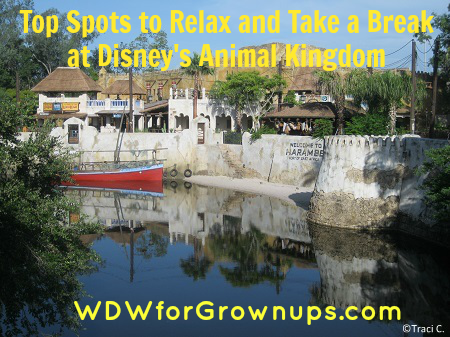 Take a break at Disney';s Animal Kingdom!