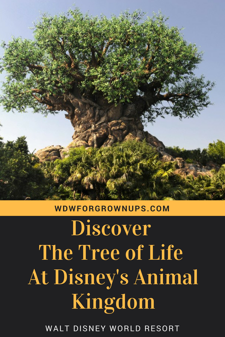 Discover The Tree Of Life At Disney's Animal Kingdom