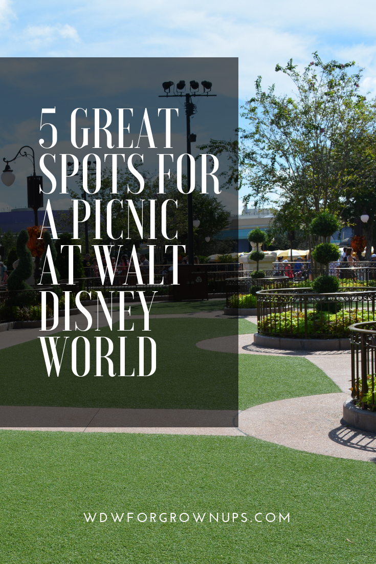 5 Great Spots For A Picnic At Walt Disney World