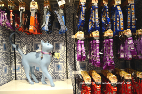 Collars and Leashes