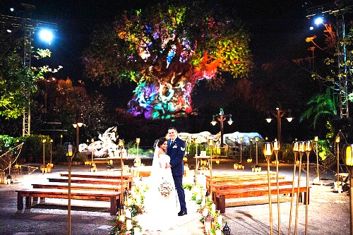 Disney Weddings At The Tree of Life