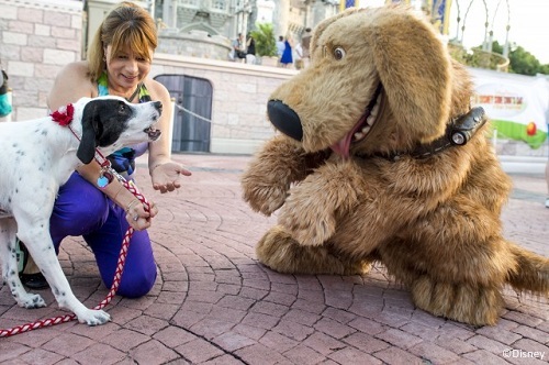 Bolt was one of the Disney dogs at the Disney Side Dog's Day event