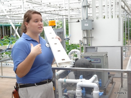 Behind the Seeds Tour Through the Greenhouse Lab