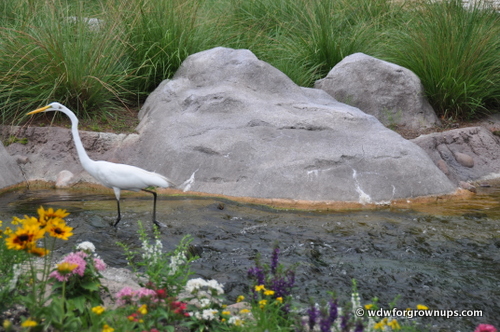 Wildlife Loves This Beautifully Landscaped Area