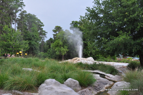 Fire Rock Geyser From Trout Pass