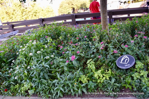 Butterfly Garden At Port Orleans Riverside
