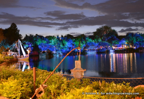 Disney After Hours at Disney's Animal Kingdom