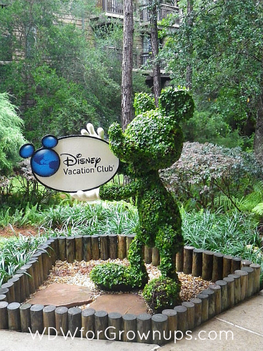Welcome To The Disney Vacation Club