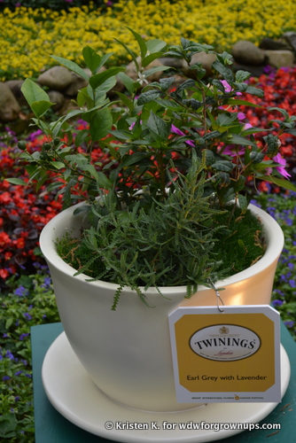 Earl Grey With Lavender Is A Twinings Specialty