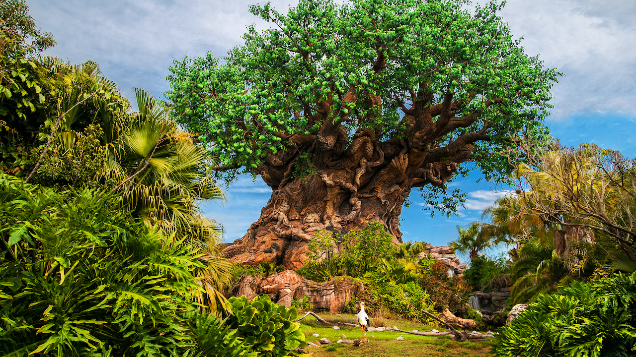 April Celebrates Earth Month At Disney's Animal Kingdom