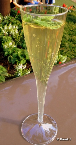 Elderflower Cocktail - Germany
