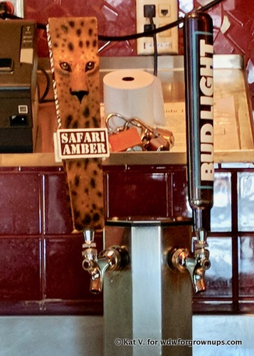 Safari Amber On Tap