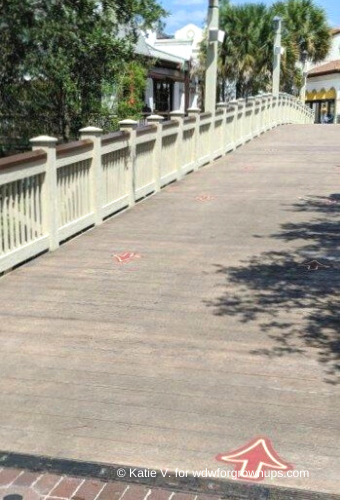 Arrows Mark The Flow of Traffic