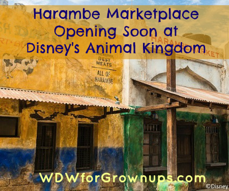 New food and drinks coming to Harambe Marketplace