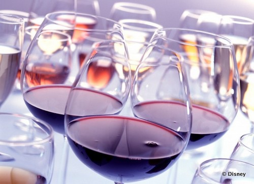 Wine Tasting and Seminars