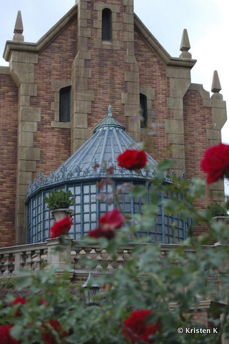 Blood Red Roses And the Conservatory Exterior