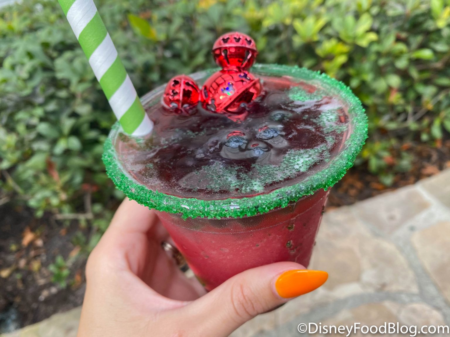 Holiday-cocktail-winterberry-dhs 0