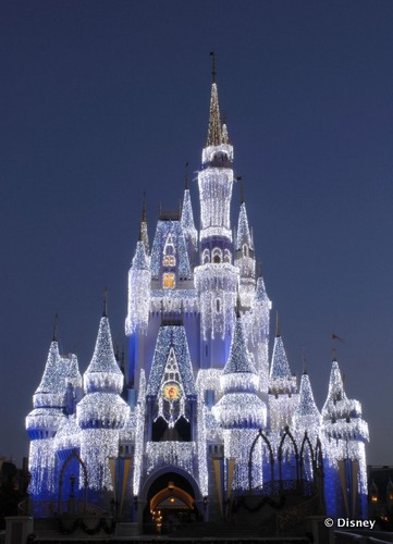 Cinderella Castle Transforms with Winter Magic