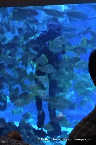 Diver In The Tank