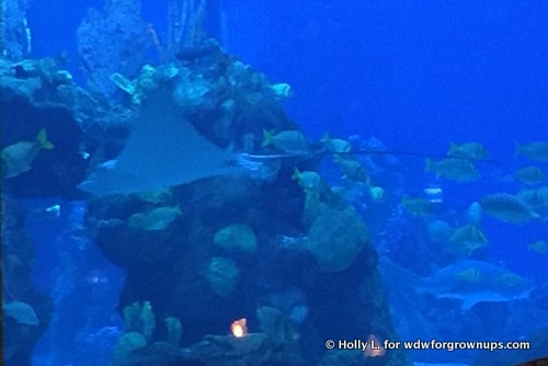 Fish Are Friends... Hrmmmm...